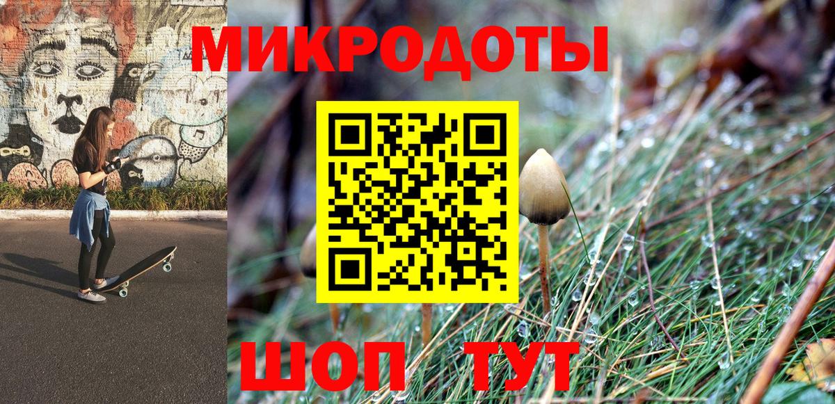 купить наркотик  Галлюциногенные грибы мухоморы  Вход с VPN  Галлюциногенные грибы мицелий  Саранск 
